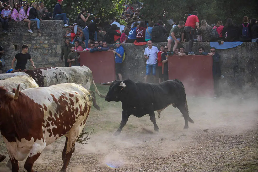 Encierro Lavalenguas-76