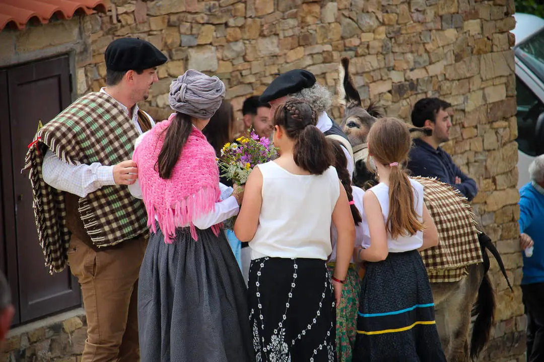 Trashumancia en Oncala
