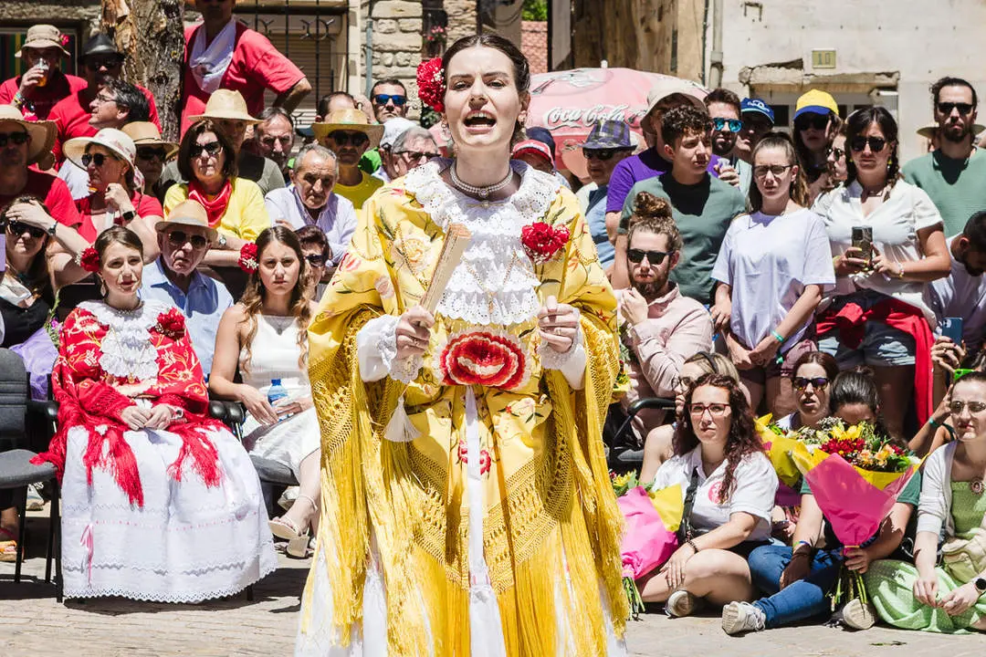 San Pedro Manrique-23