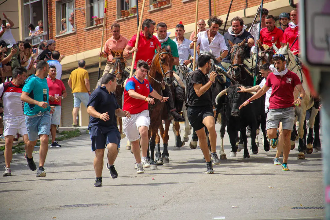 Llegada de los novillos a la plaza de toros
