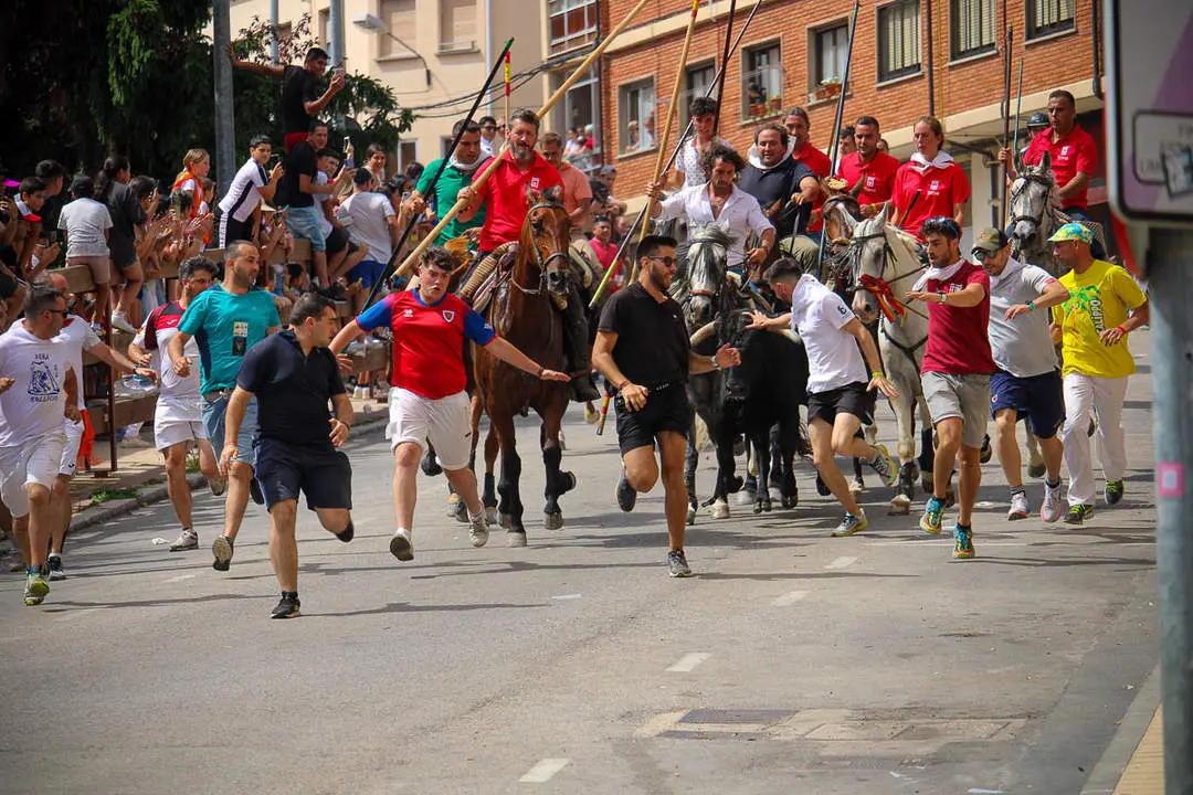 Llegada de los novillos a la plaza de toros-2