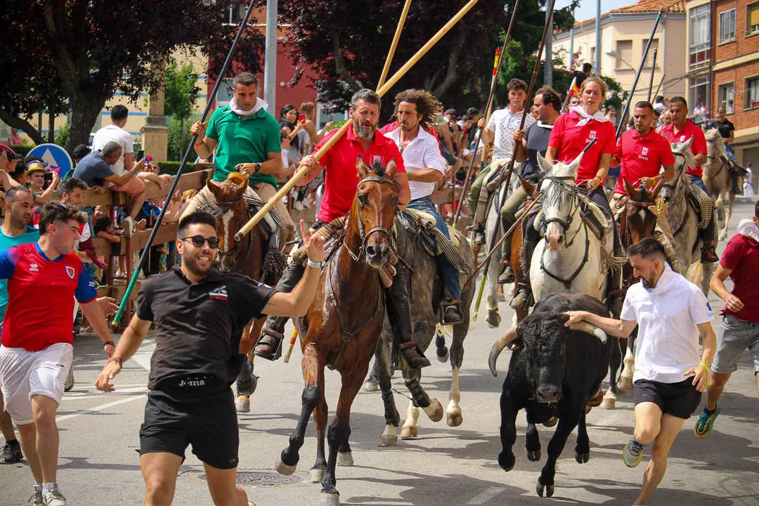 Llegada de los novillos a la plaza de toros-4