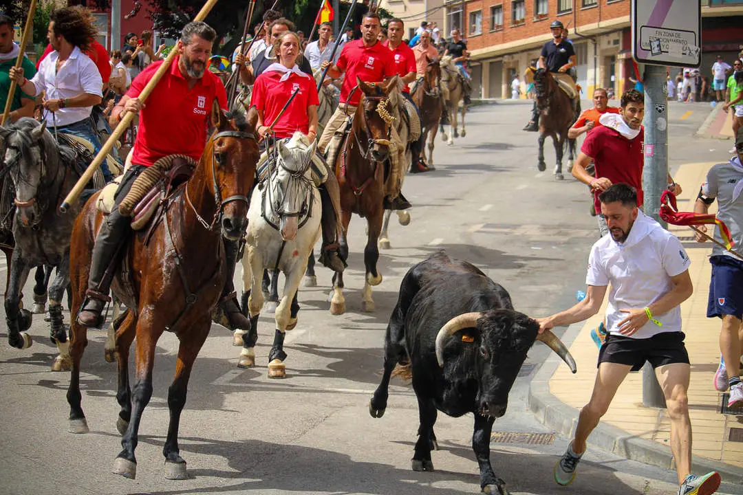 Llegada de los novillos a la plaza de toros-5