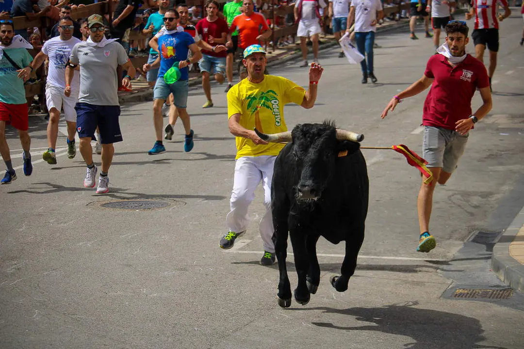 Llegada de los novillos a la plaza de toros-11