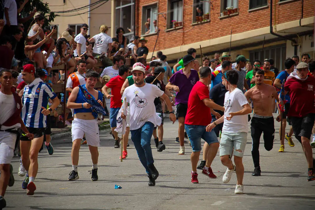 Llegada de los novillos a la plaza de toros-22