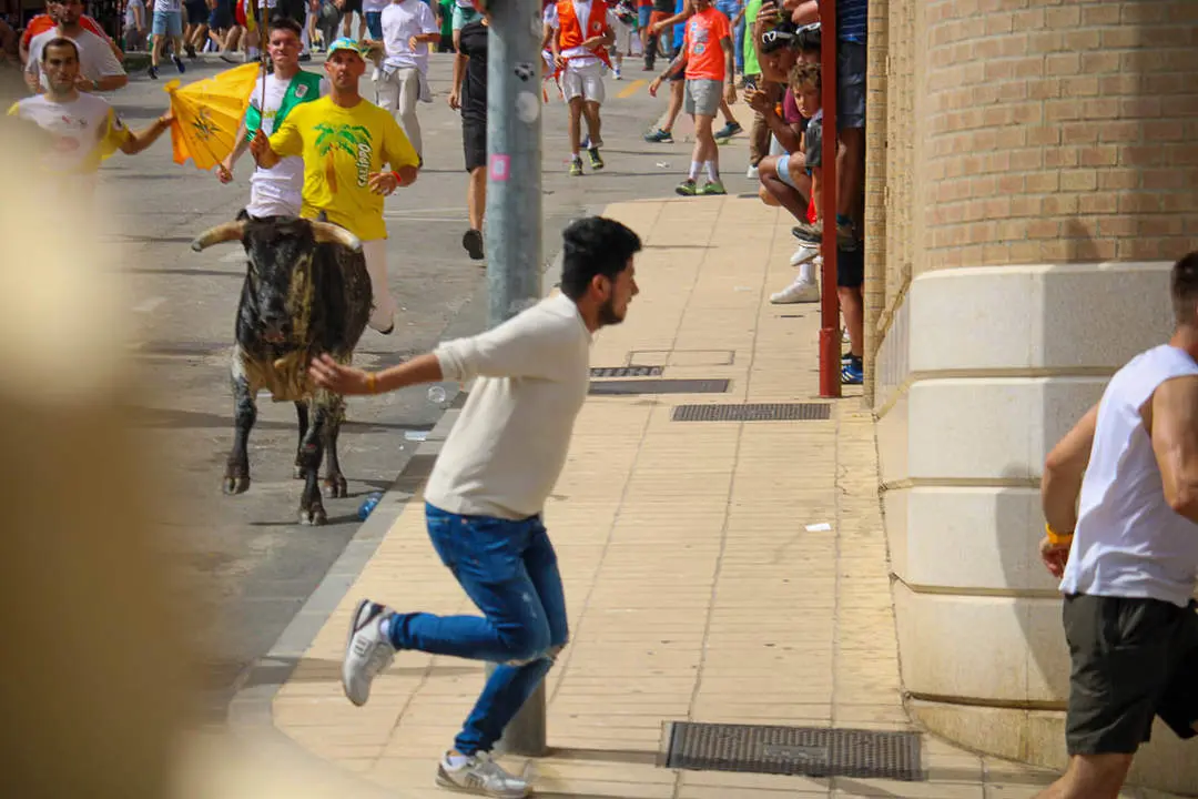 Llegada de los novillos a la plaza de toros-24