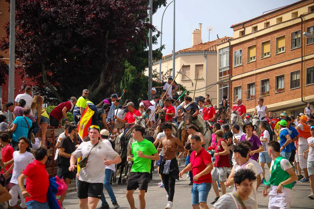 Llegada de los novillos a la plaza de toros-28