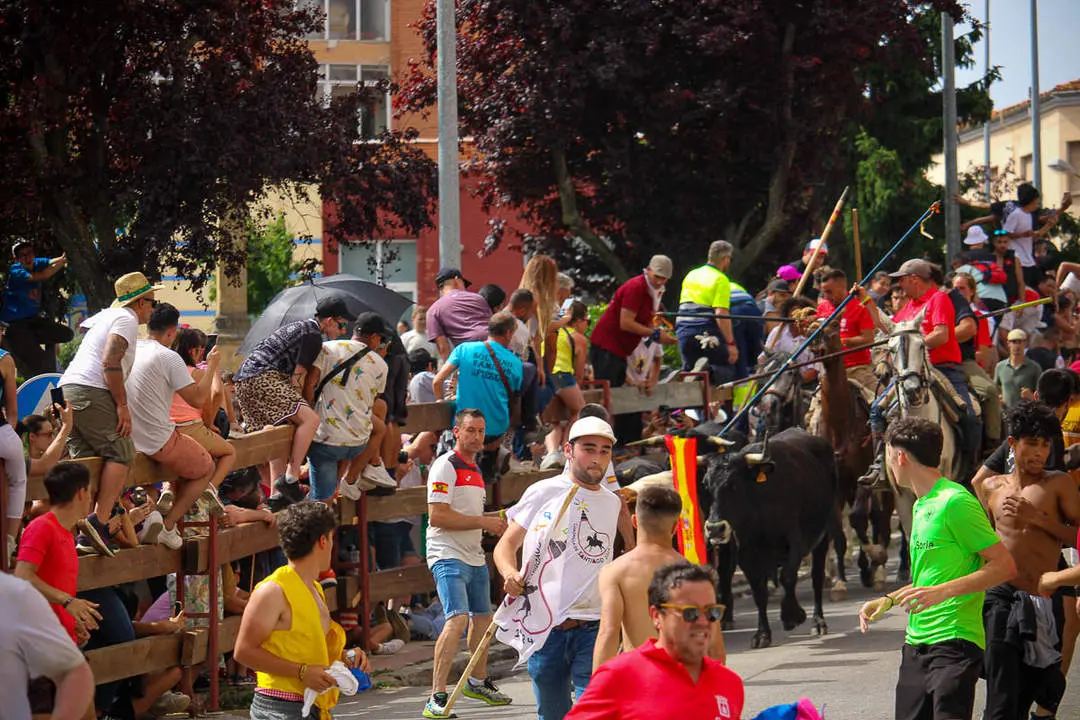 Llegada de los novillos a la plaza de toros-30