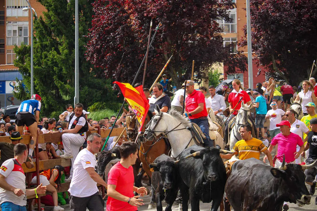 Llegada de los novillos a la plaza de toros-34