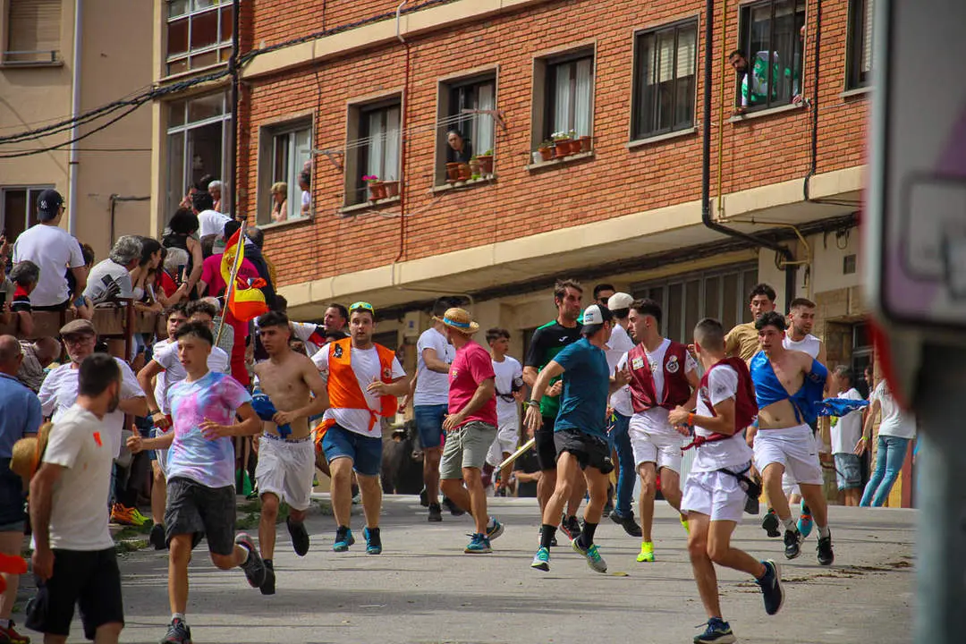 Llegada de los novillos a la plaza de toros-35