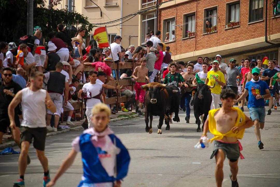 Llegada de los novillos a la plaza de toros-36