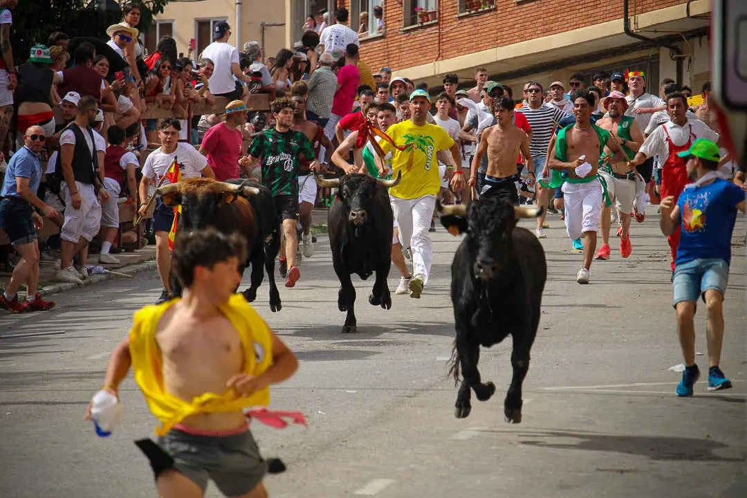 Llegada de los novillos a la plaza de toros-37