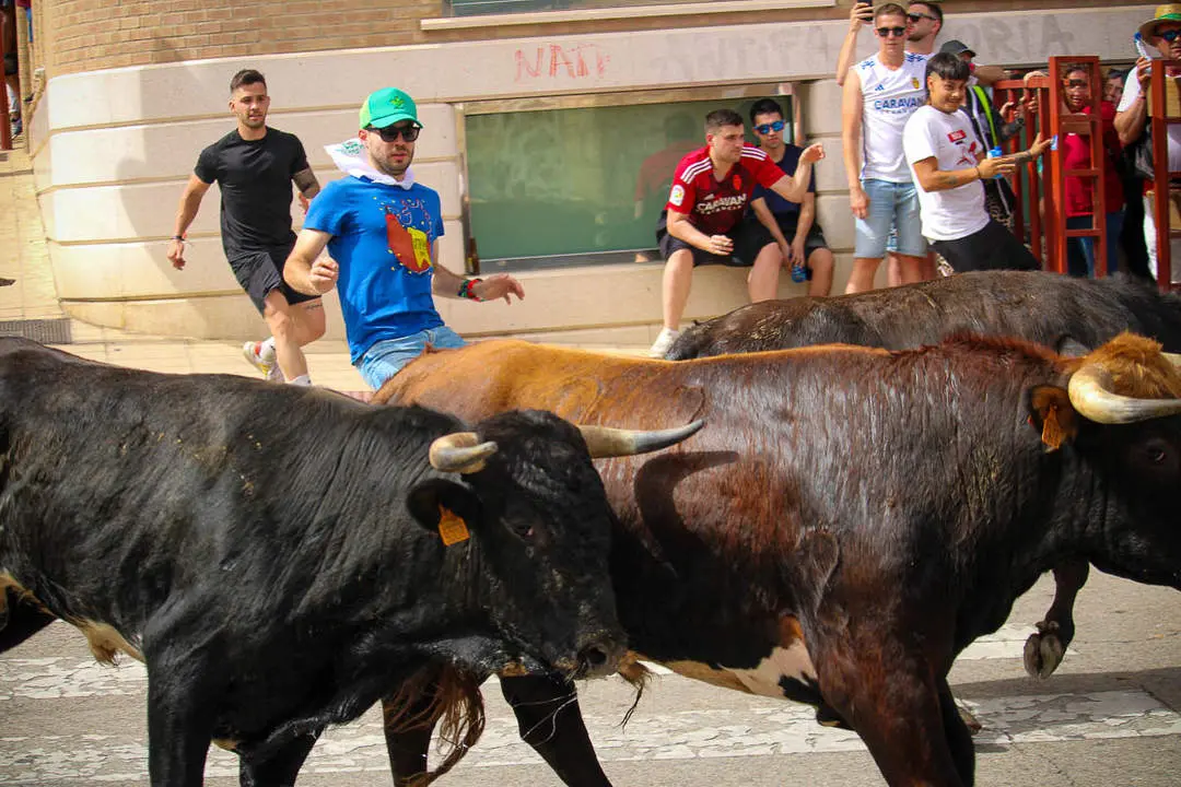 Llegada de los novillos a la plaza de toros-39