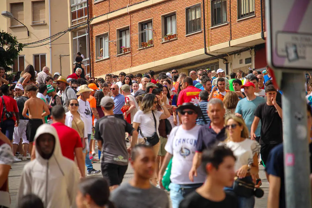 Llegada de los novillos a la plaza de toros-41