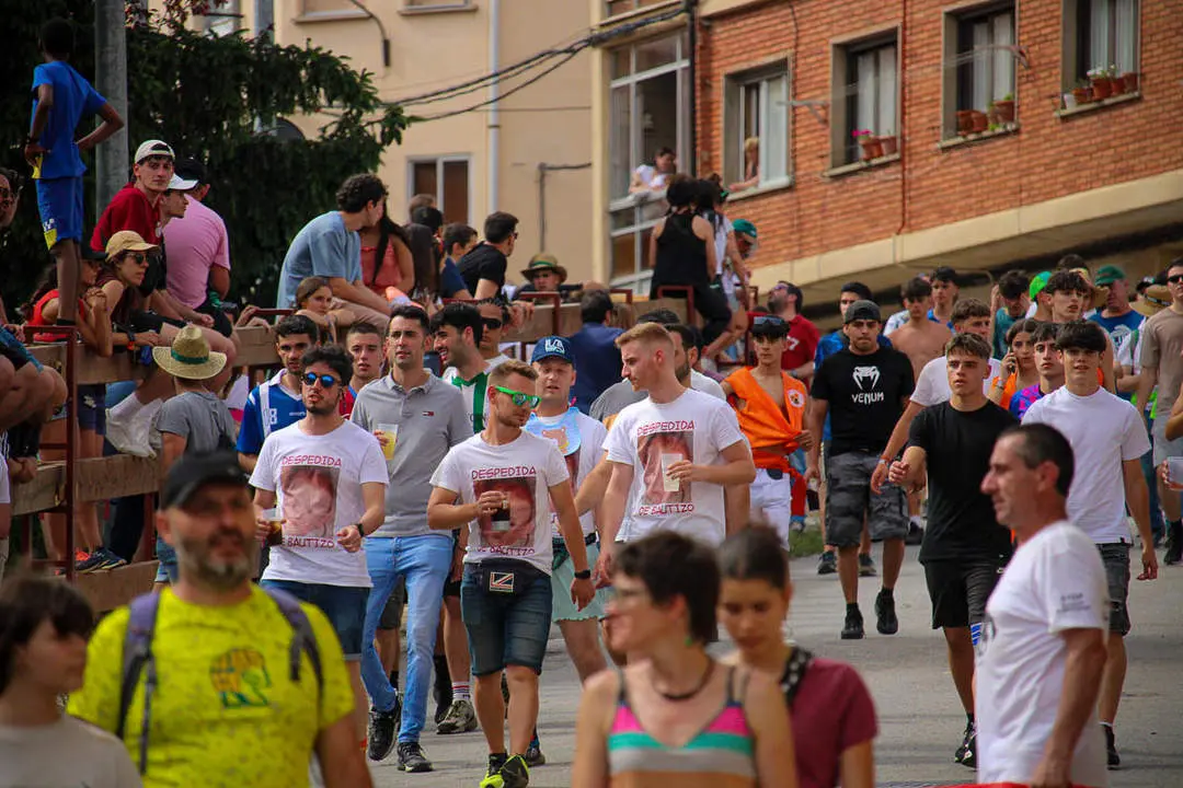 Llegada de los novillos a la plaza de toros-42