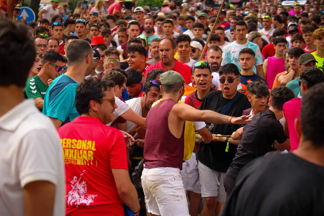Llegada de los novillos a la plaza de toros-46