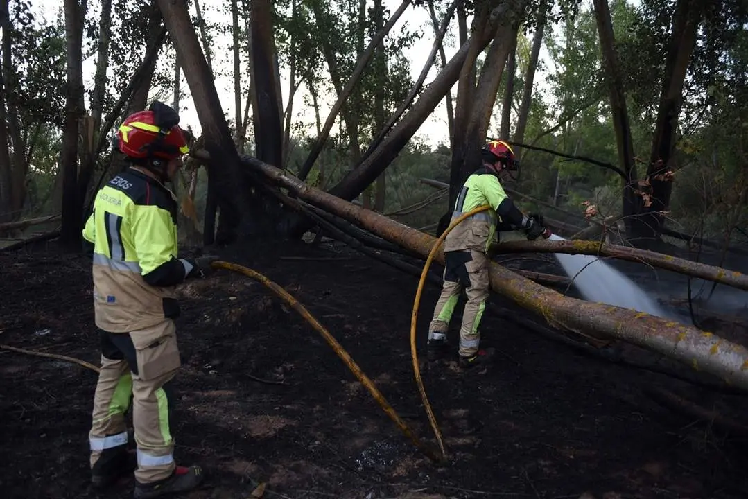 Incendio en Rebollo de Duero (5)