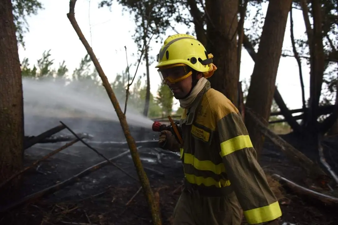 Incendio en Rebollo de Duero (6)