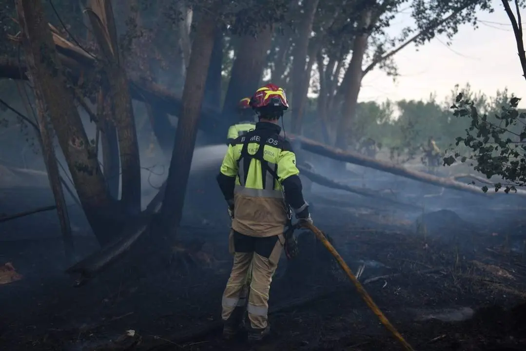 Incendio en Rebollo de Duero (7)