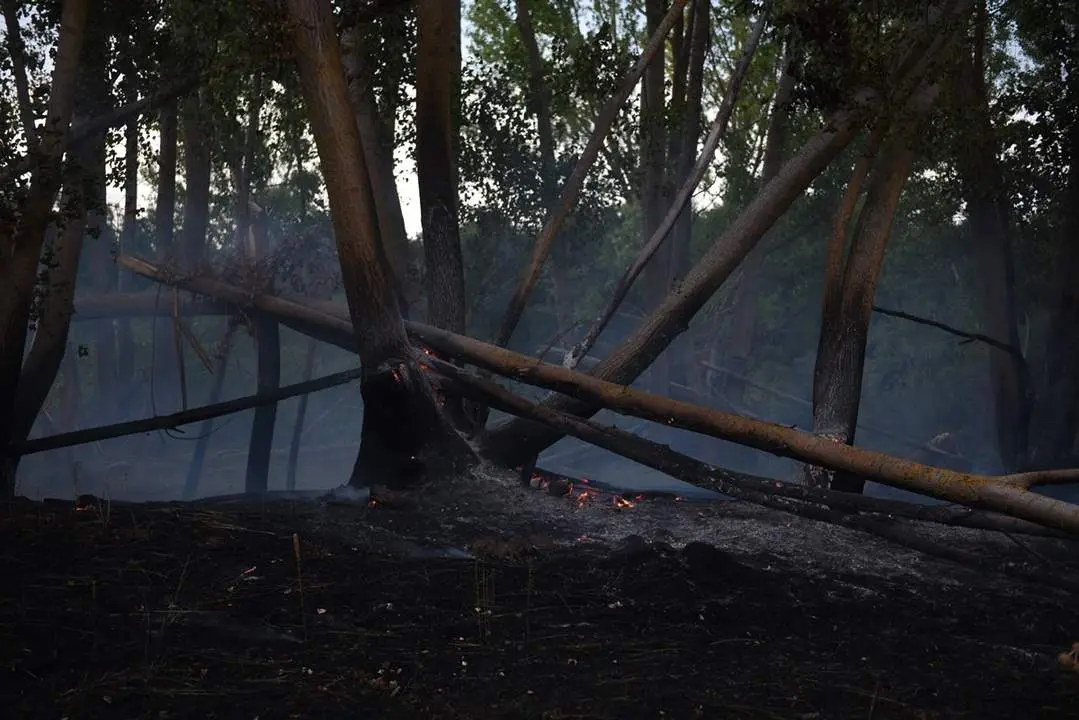 Incendio en Rebollo de Duero (9)