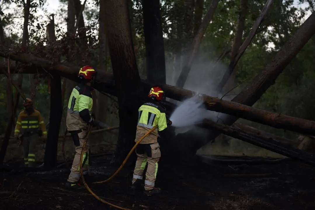 Incendio en Rebollo de Duero (12)