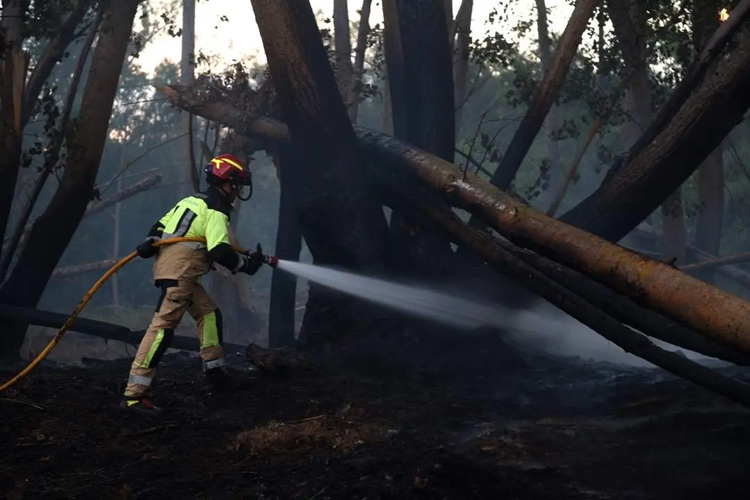 Incendio en Rebollo de Duero (13)