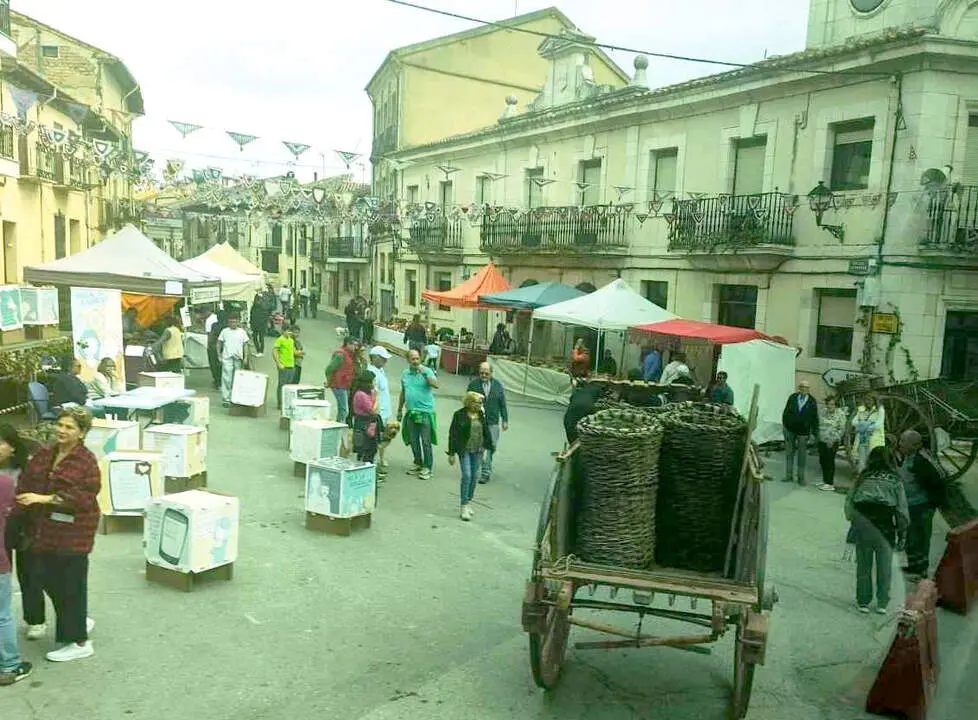 Vendimia en Langa
