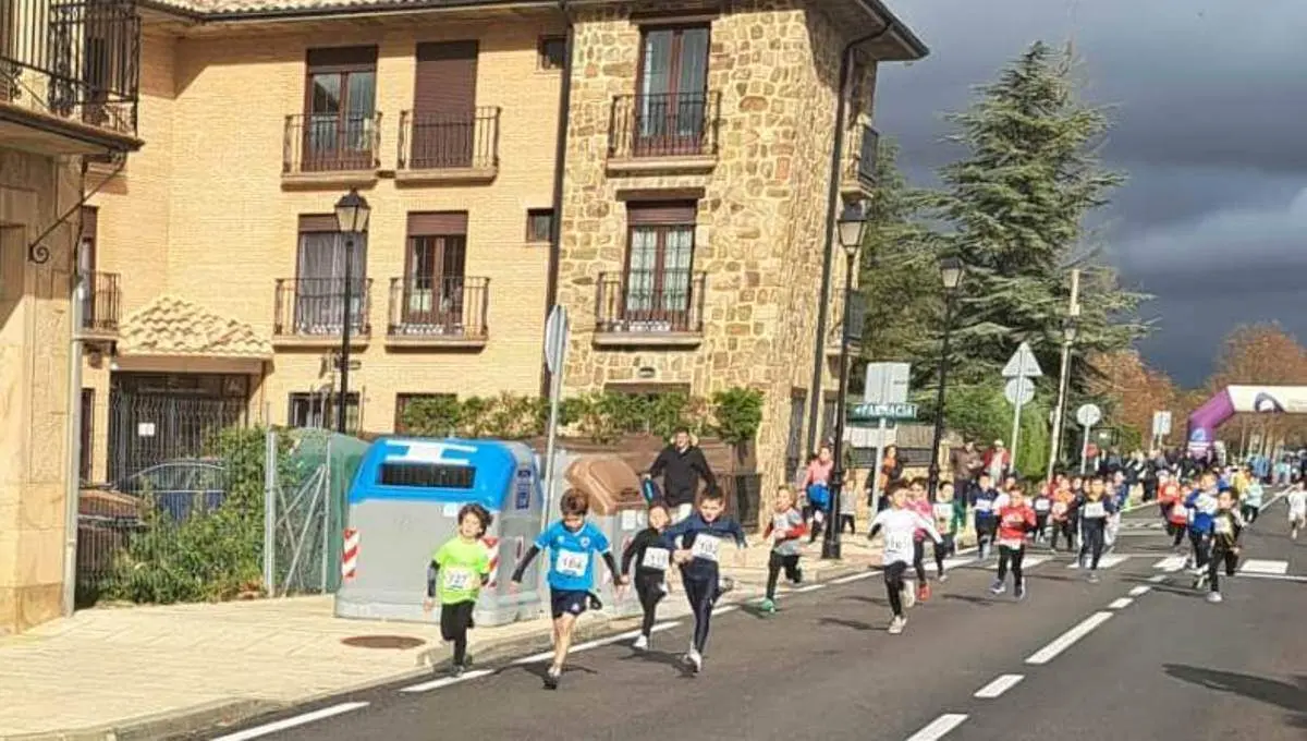 Cerco a Numancia en Garray06