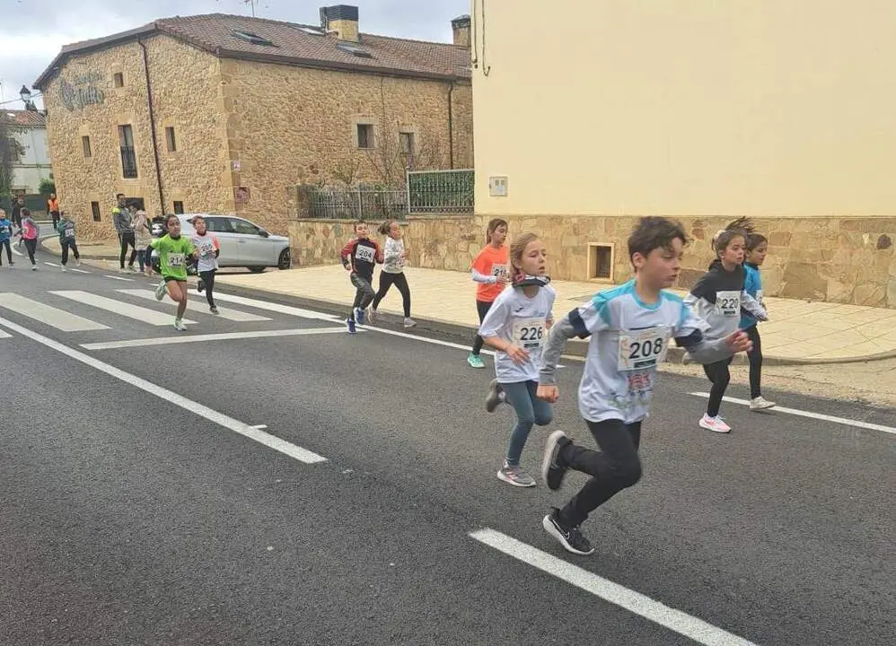 Cerco a Numancia en Garray10