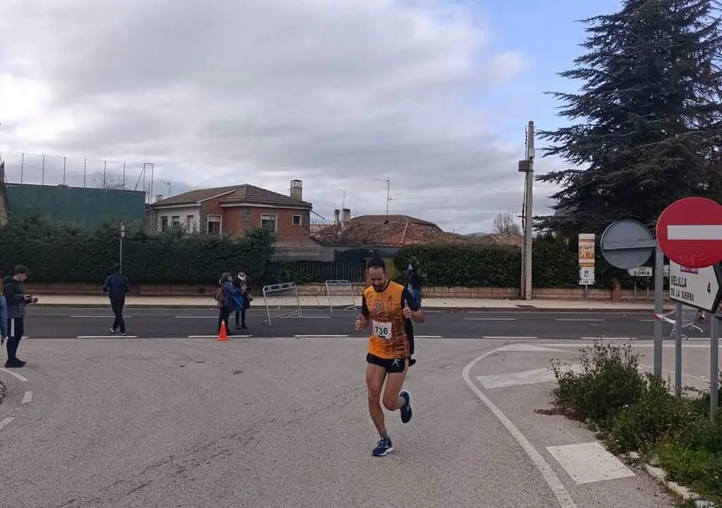 Cerco a Numancia en Garray12