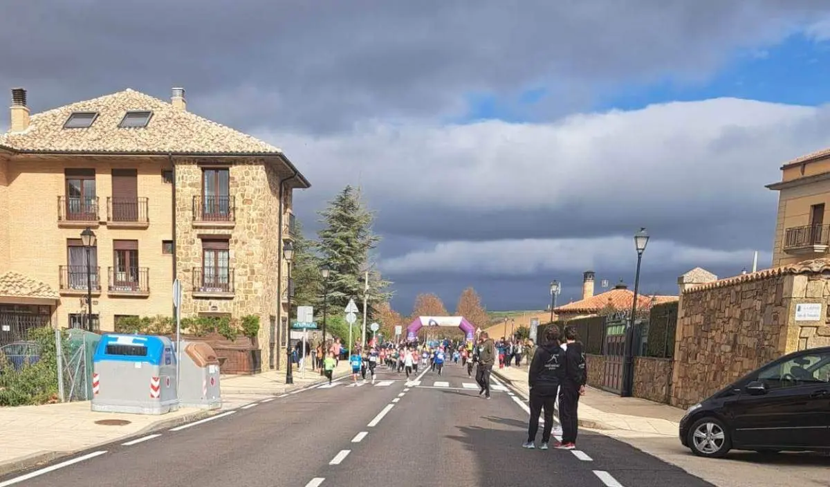 Cerco a Numancia en Garray13