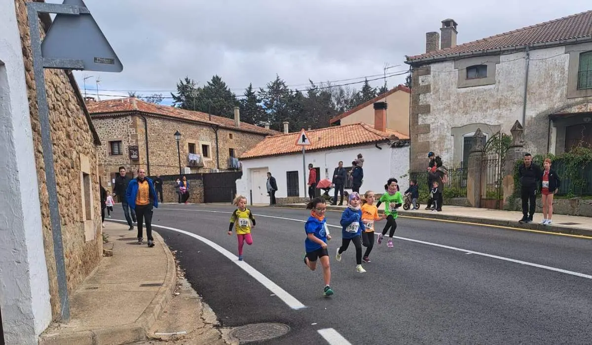 Cerco a Numancia en Garray22