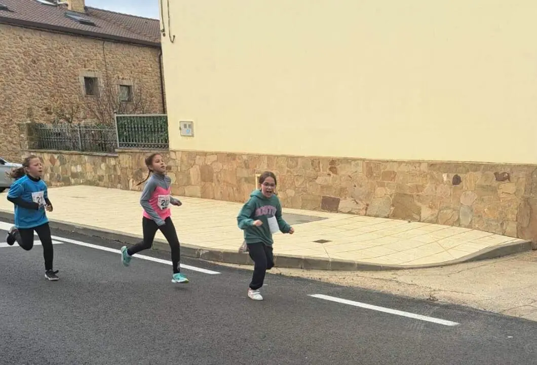 Cerco a Numancia en Garray41