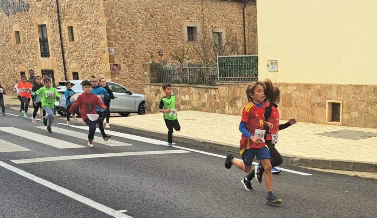 Cerco a Numancia en Garray43