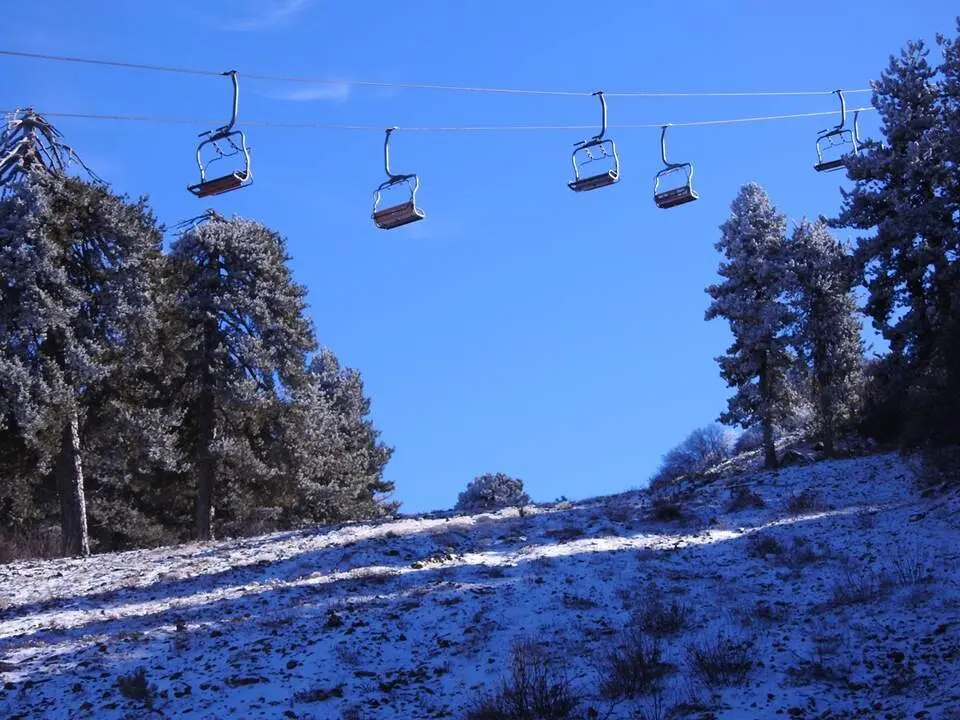 1. Senda Artemisa en Monte Olimpo, Troodos (6)