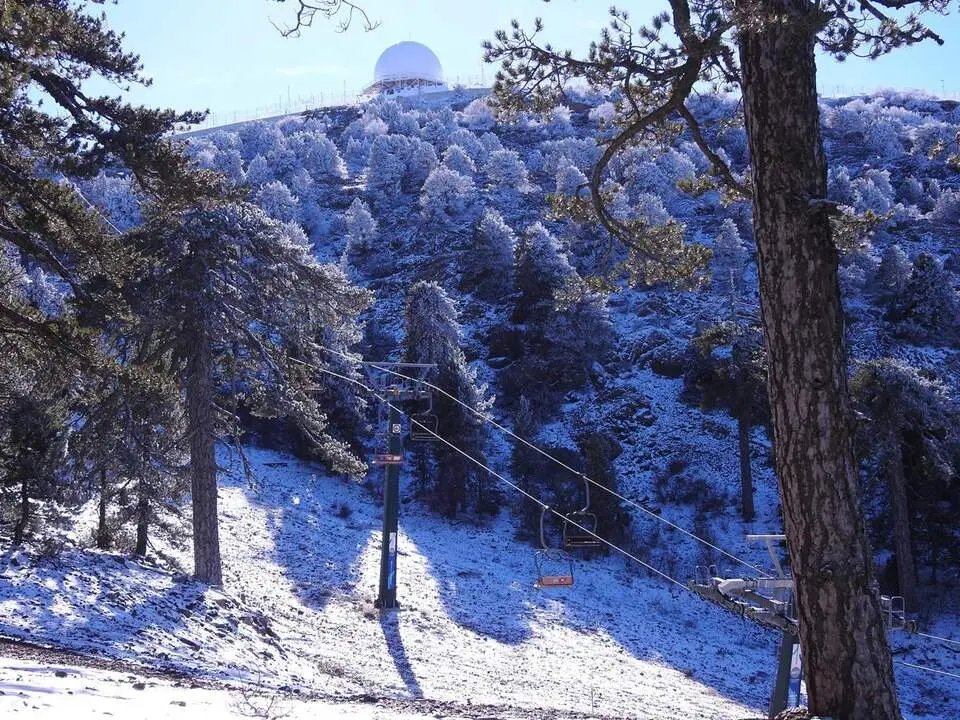1. Senda Artemisa en Monte Olimpo, Troodos (7)