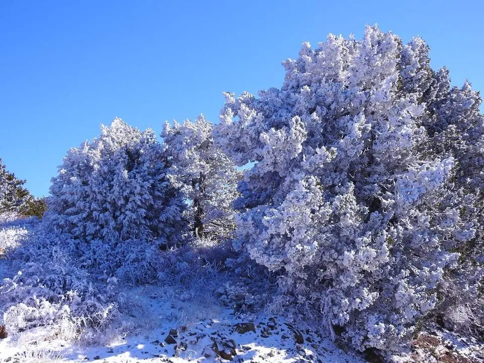 1. Senda Artemisa en Monte Olimpo, Troodos (9)