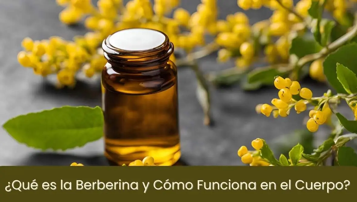 Berberina