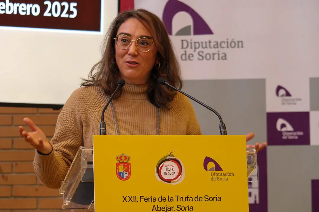XX Feria de la Trufa de Abejar-11