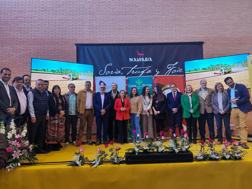 XX Feria de la Trufa de Abejar-14