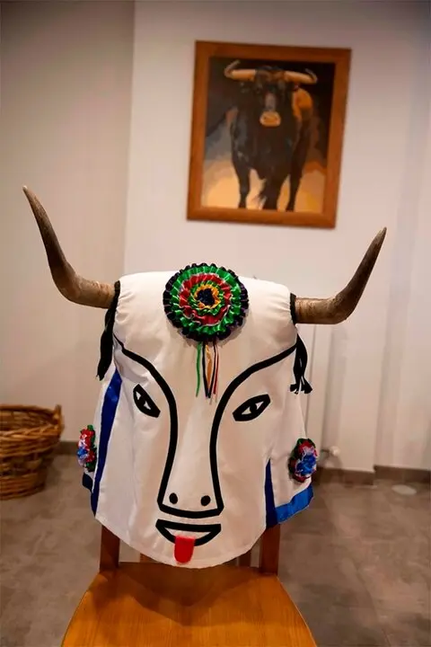 La Barrosa de Abejar (18)
