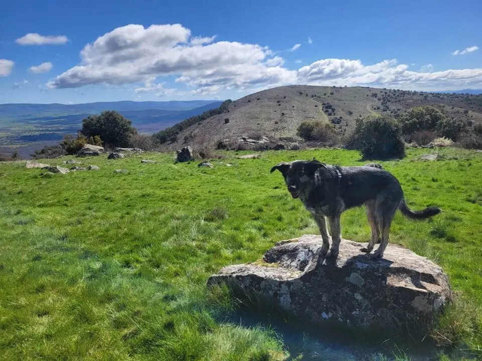 Excursi&oacute;n a la Calvilla desde Dombellas (4)