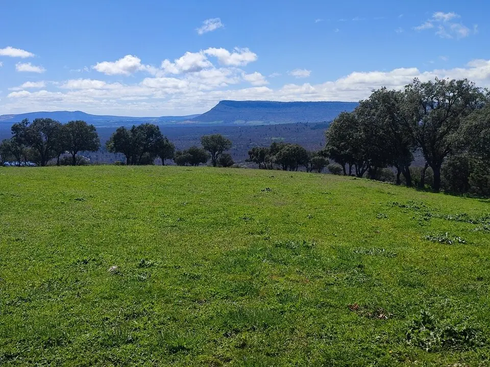 Excursi&oacute;n a la Calvilla desde Dombellas (27)