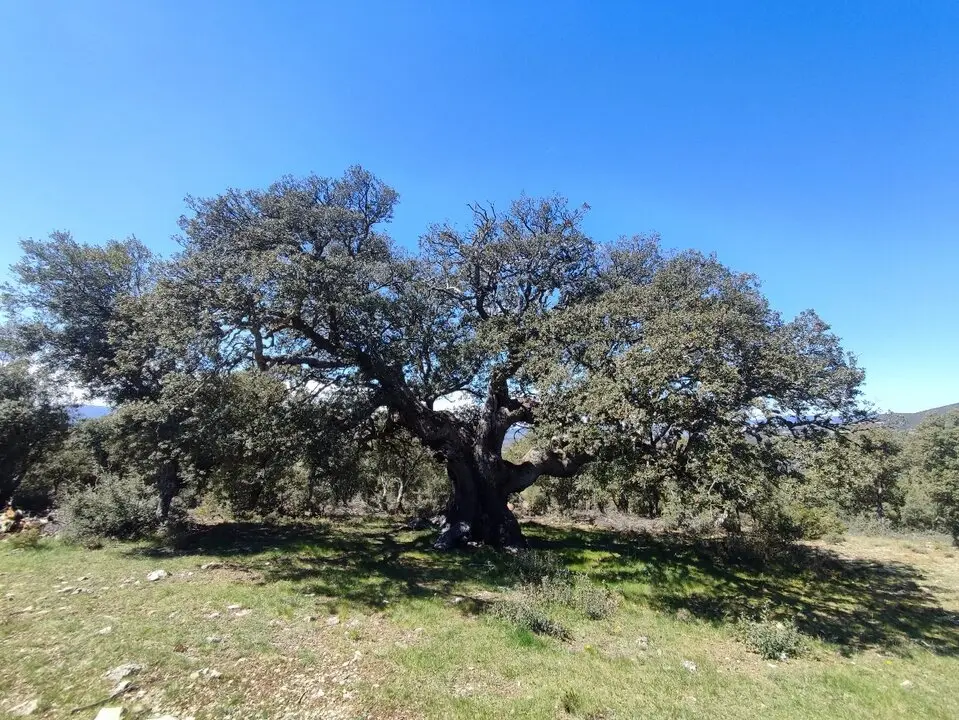 Excursi&oacute;n a la Calvilla desde Dombellas (28)
