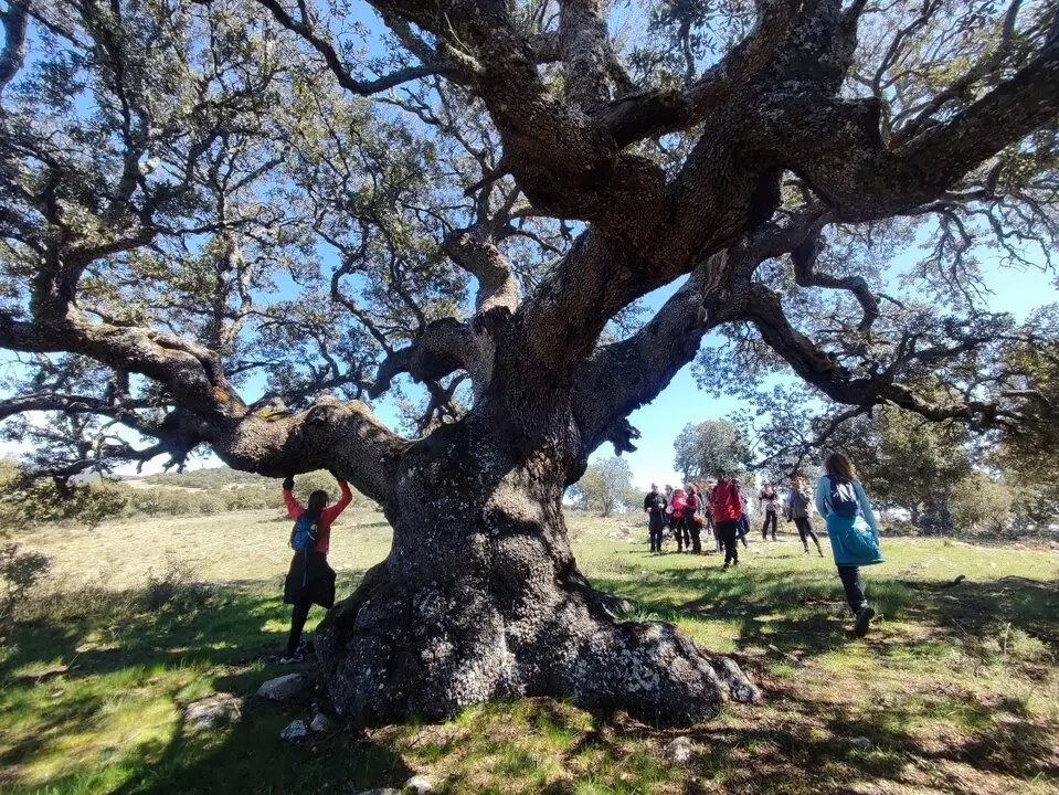 Excursi&oacute;n a la Calvilla desde Dombellas (29)