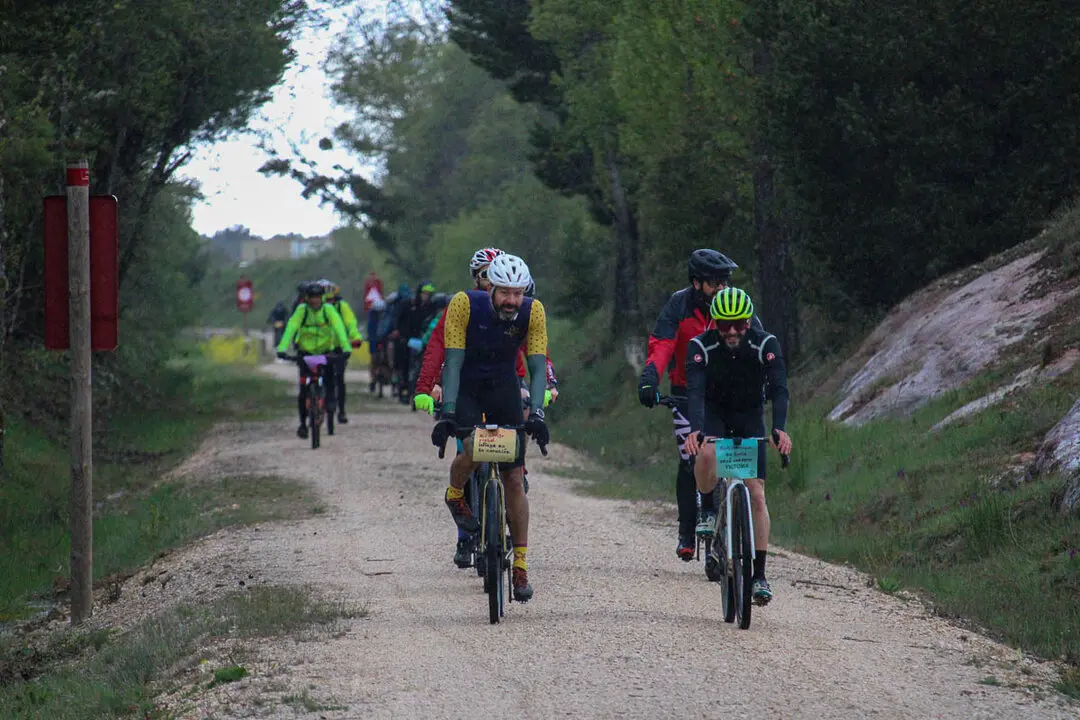 Pedalovida por Abejar