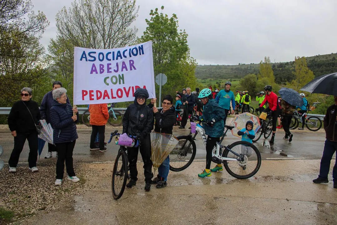 Pedalovida por Abejar-11