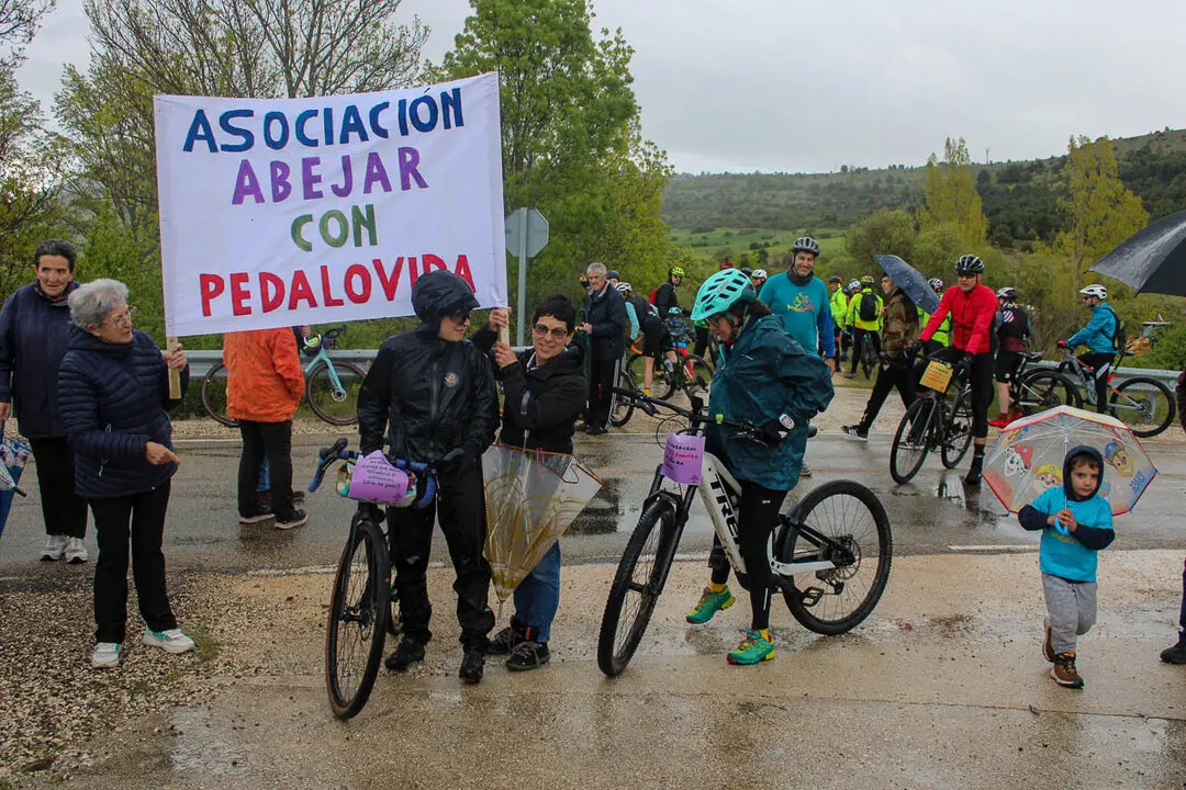 Pedalovida por Abejar-12
