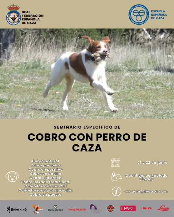 Curso de cobro con perro de caza