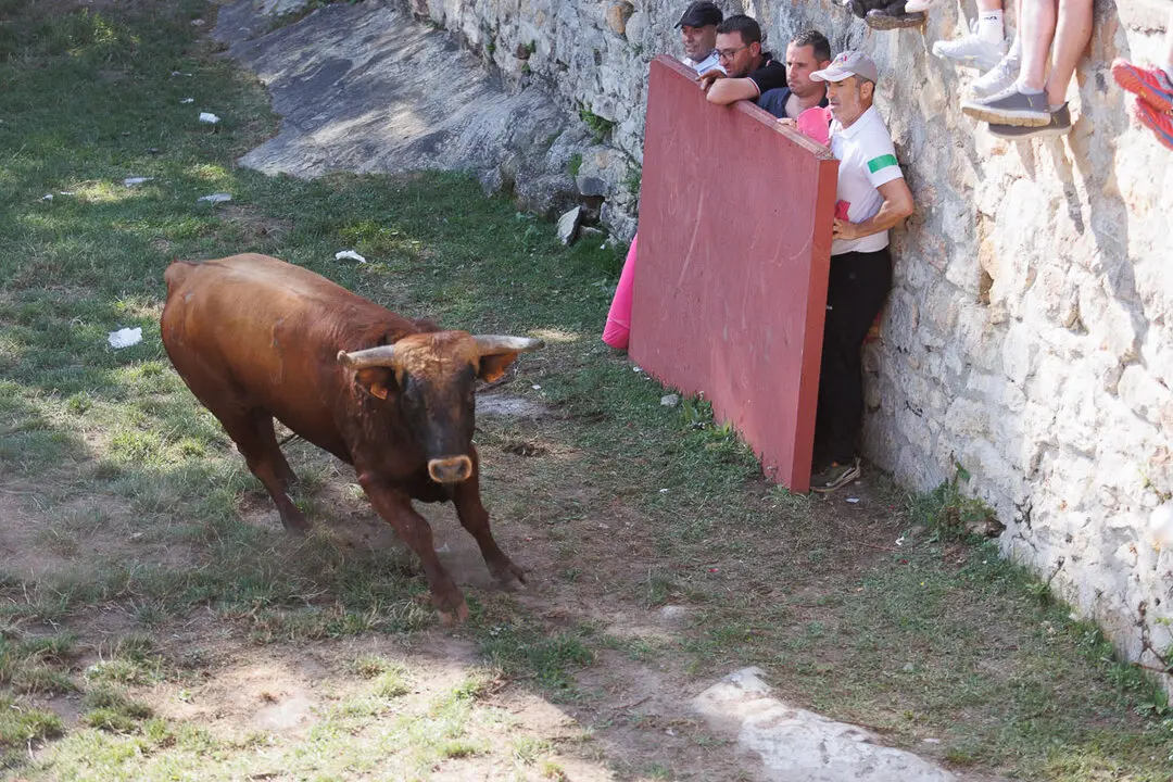 La Compra-39